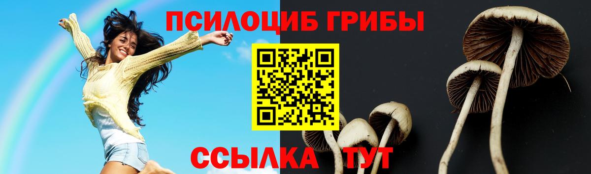 Нижнекамск  Псилоцибиновые грибы GOLDEN TEACHER  Галлюциногенные грибы Psilocybine cubensis  цена наркотик  Вход с VPN 